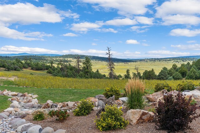 exterior space featuring a rural view