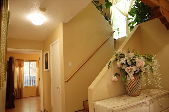 staircase featuring a textured ceiling and hardwood / wood-style floors