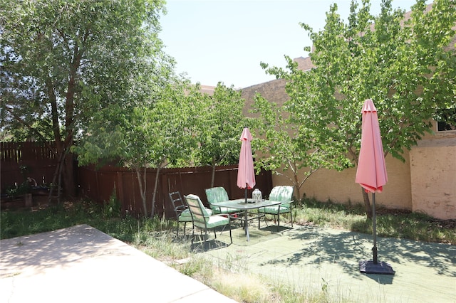 view of yard with a patio