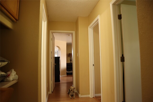 hall featuring a textured ceiling and light hardwood / wood-style flooring