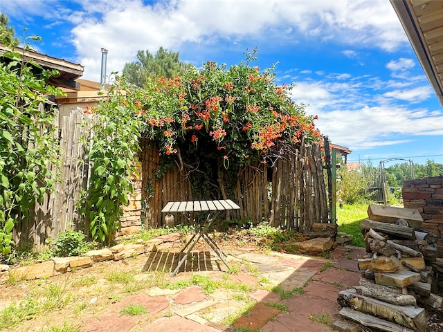 view of yard featuring a patio