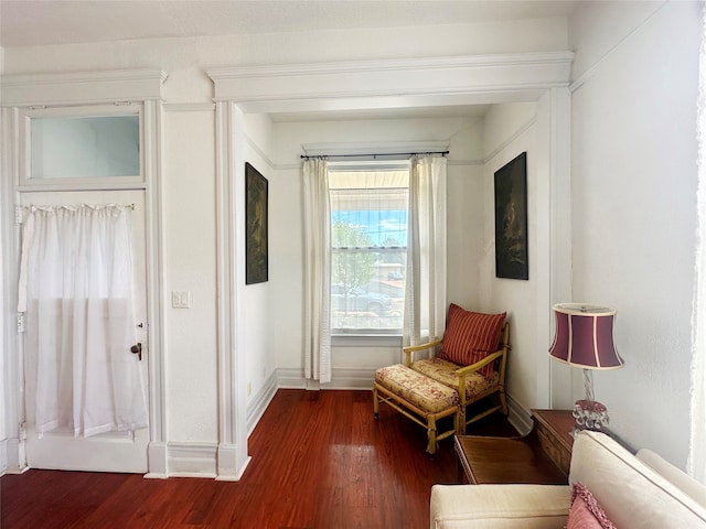 sitting room with dark hardwood / wood-style floors