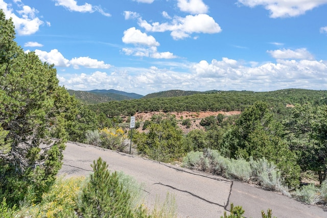 view of mountain feature