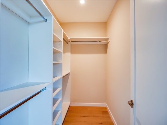 spacious closet featuring light hardwood / wood-style flooring