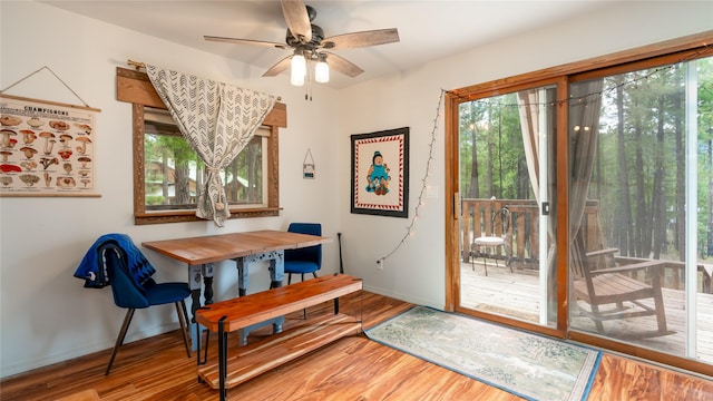 dining area with ceiling fan and wood-type flooring