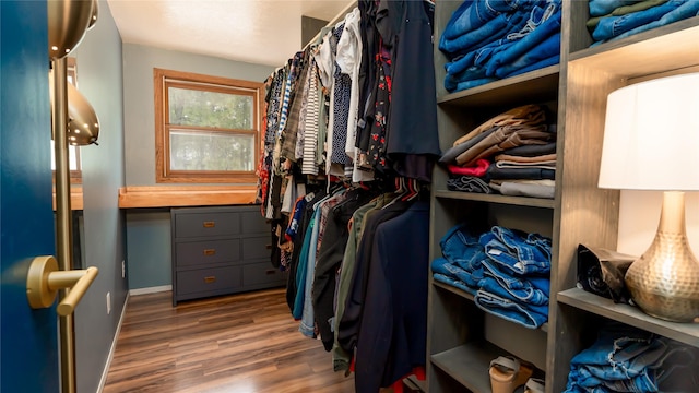 spacious closet featuring dark hardwood / wood-style flooring