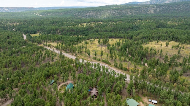 drone / aerial view with a mountain view