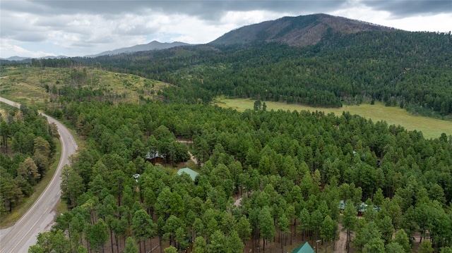 property view of mountains