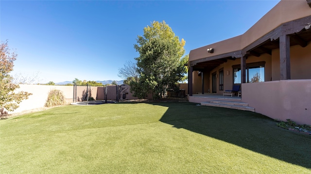 view of yard featuring a patio and a trampoline