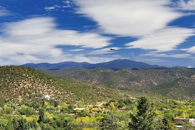 view of mountain feature