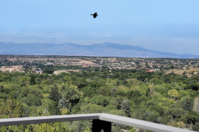 view of mountain feature