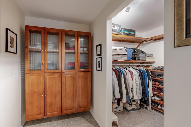 spacious closet featuring carpet flooring