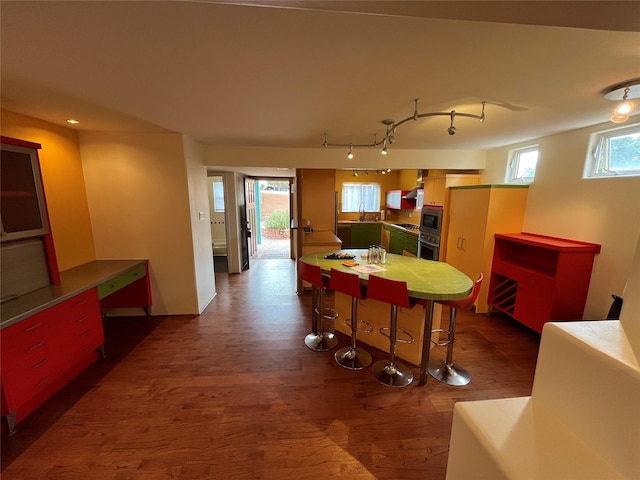 kitchen featuring a sink, appliances with stainless steel finishes, and dark wood finished floors