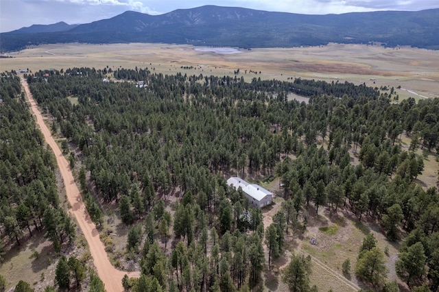 aerial view with a mountain view