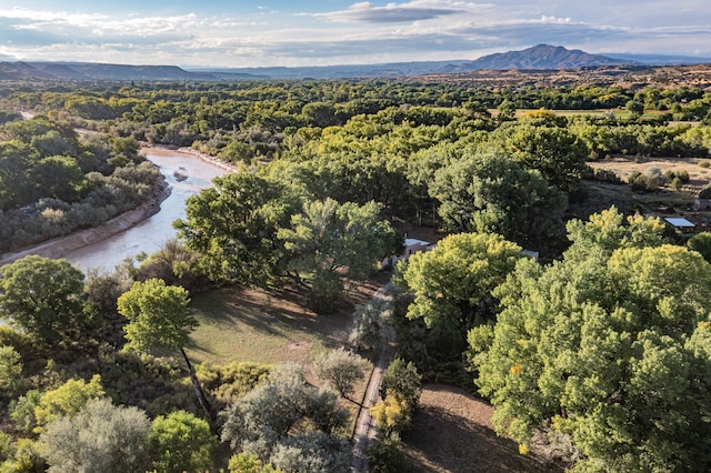 aerial view featuring a mountain view