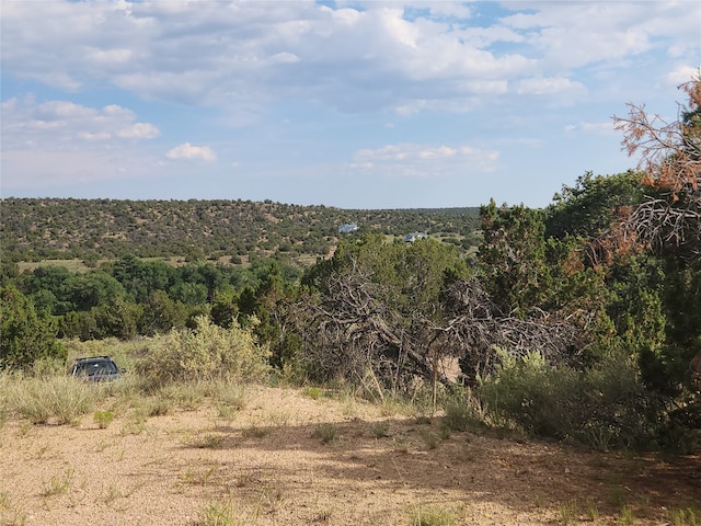 Listing photo 3 for 5 Loose Caboose Ln, Lamy NM 87540