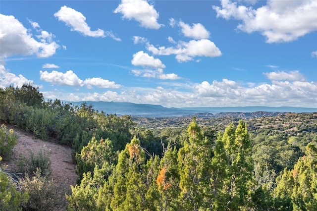 view of mountain feature with a water view