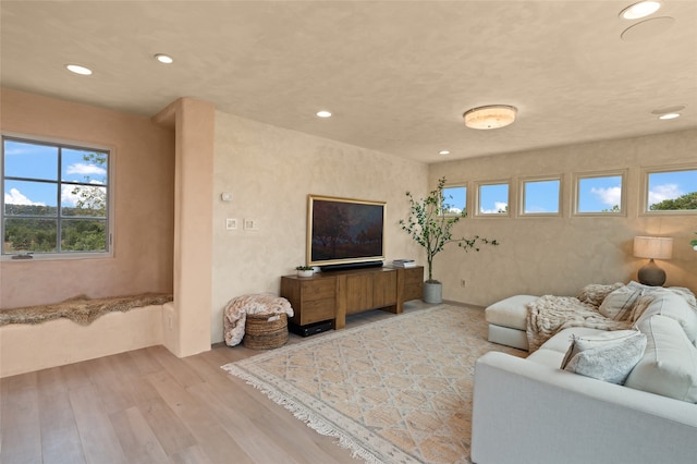 living room with light wood-type flooring