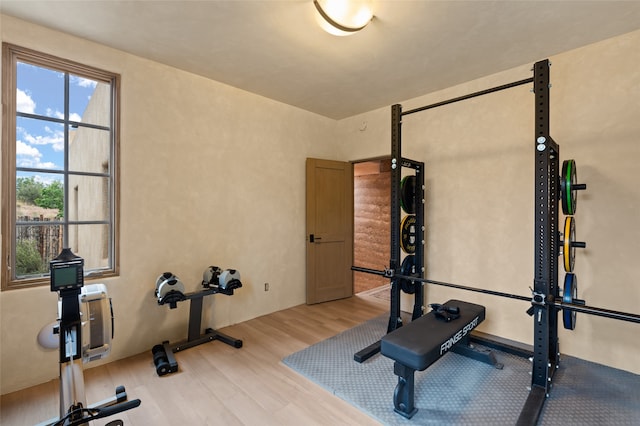 workout area featuring light hardwood / wood-style floors