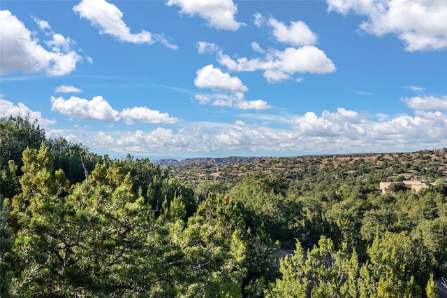 23 Lavadero Rd, Santa Fe, NM 87506 - mountain view with a wooded view