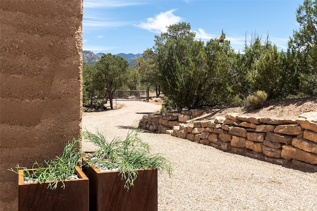 view of yard featuring a mountain view