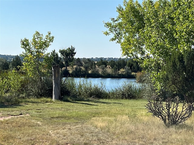 view of water feature