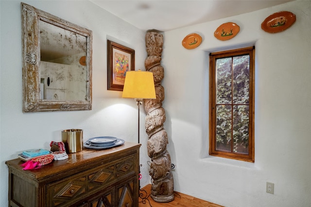 interior space featuring hardwood / wood-style floors