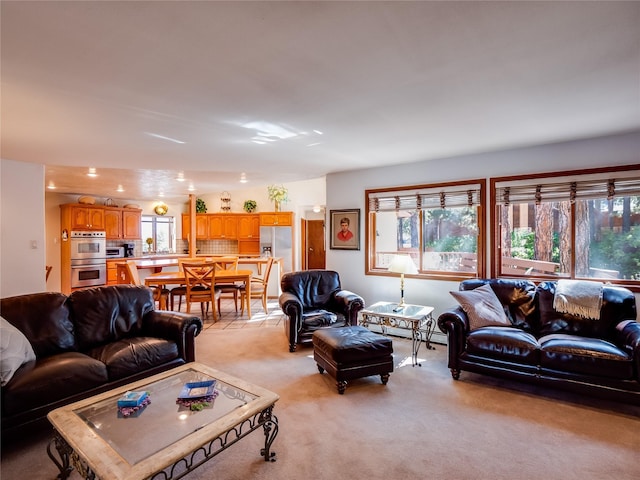 2176 La Tierra, Los Alamos, NM 87544 - living area with light colored carpet and a healthy amount of sunlight