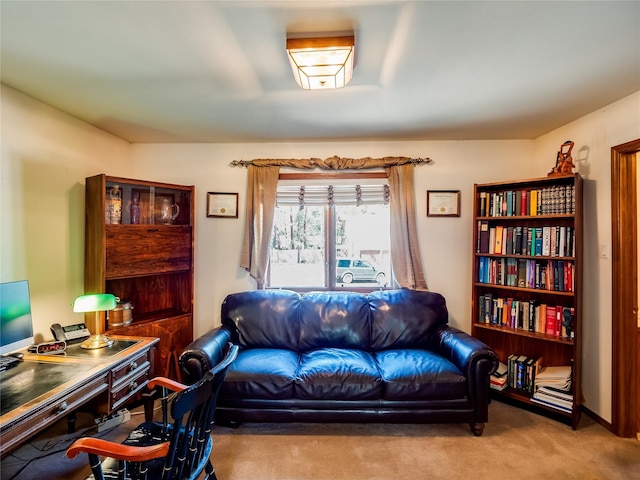 2176 La Tierra, Los Alamos, NM 87544 - living area with carpet flooring