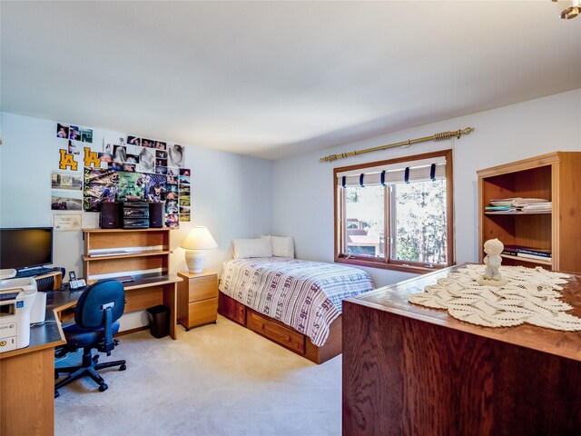 2176 La Tierra, Los Alamos, NM 87544 - view of carpeted bedroom