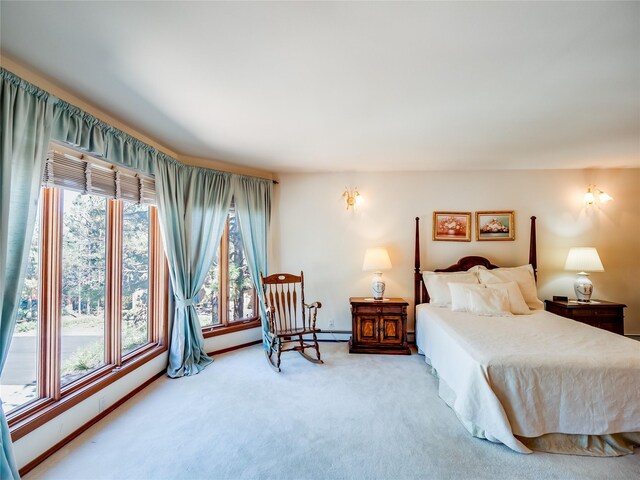 2176 La Tierra, Los Alamos, NM 87544 - bedroom featuring carpet floors and multiple windows