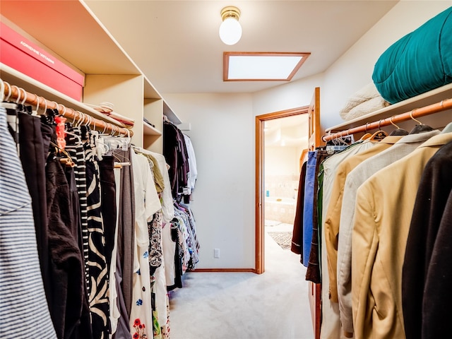 2176 La Tierra, Los Alamos, NM 87544 - spacious closet with carpet floors