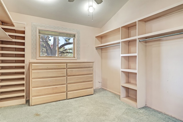 walk in closet featuring ceiling fan, lofted ceiling, and light carpet