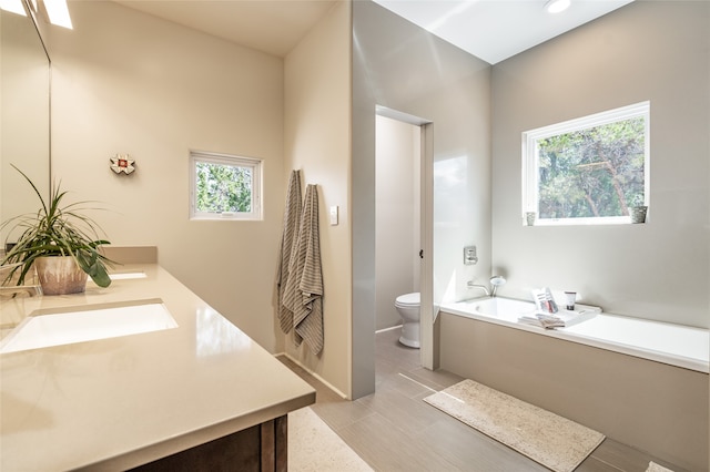 bathroom with vanity, toilet, and a bathtub