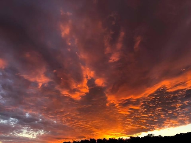 view of nature at dusk