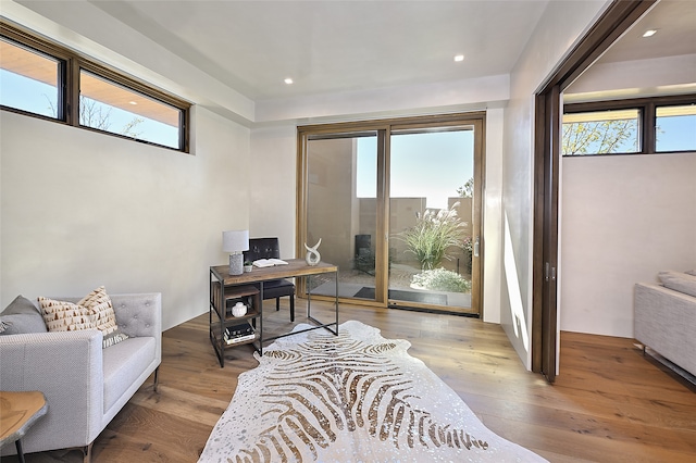 office space featuring a healthy amount of sunlight and light hardwood / wood-style floors