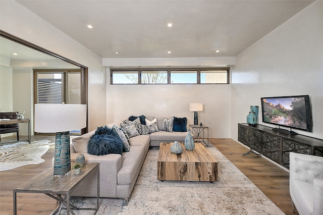 living room with wood-type flooring