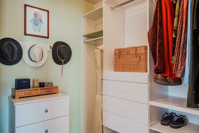 view of spacious closet