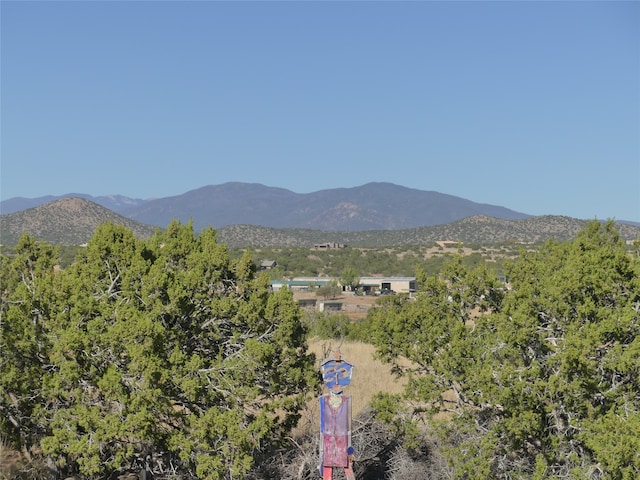 view of mountain feature