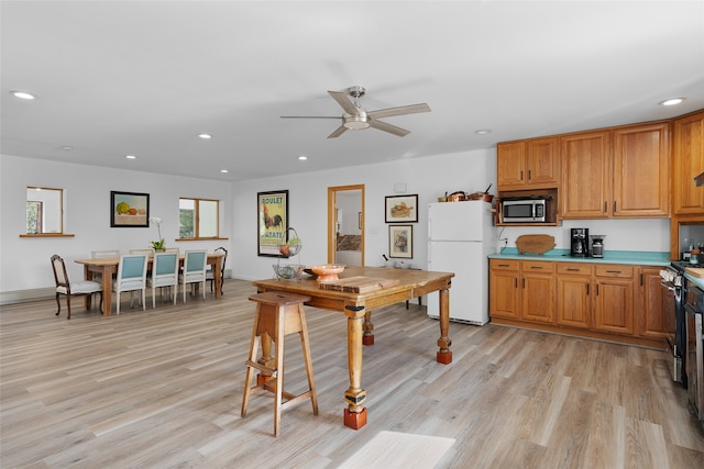 kitchen with ceiling fan, appliances with stainless steel finishes, and light wood-type flooring