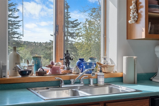 interior details with sink