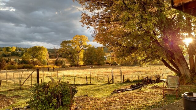 view of yard with a rural view