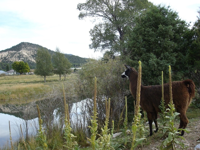 view of water feature with a mountain view