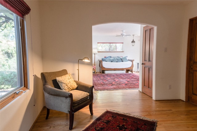 living area featuring a healthy amount of sunlight, light hardwood / wood-style floors, and ceiling fan