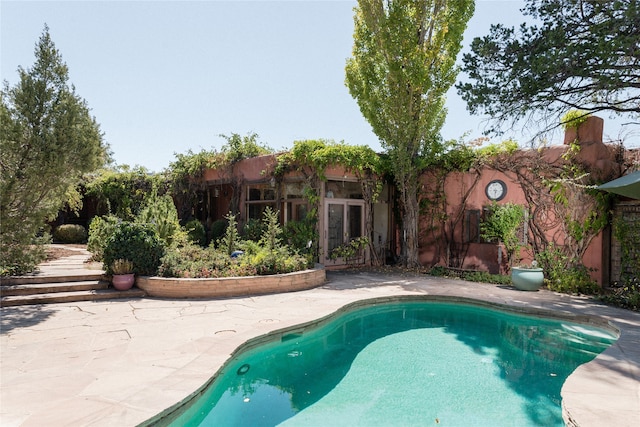 view of swimming pool with a patio area