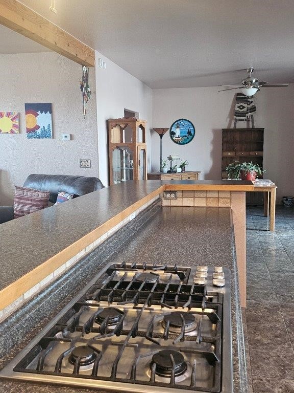 details featuring gas cooktop and ceiling fan