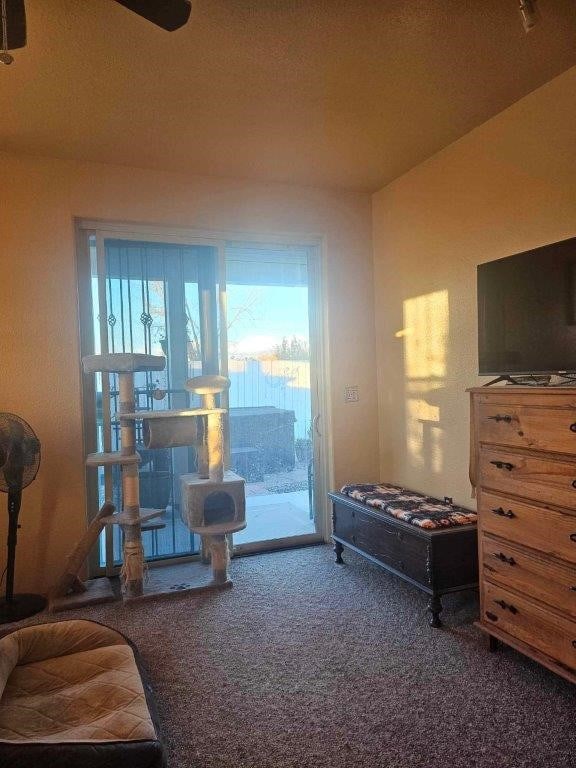 living room featuring carpet floors