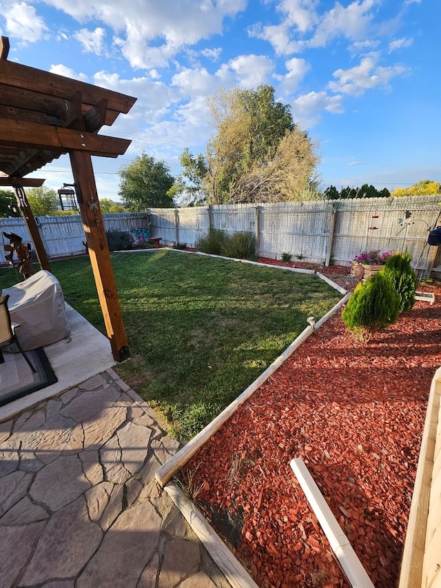 view of yard featuring a patio