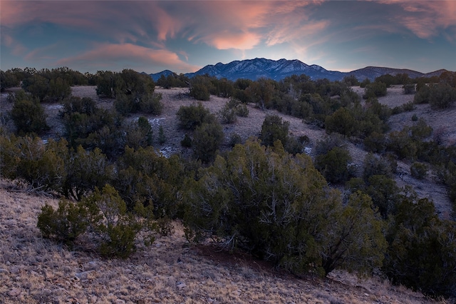 Listing photo 3 for 7 Rancho De Shama, Cerrillos NM 87010