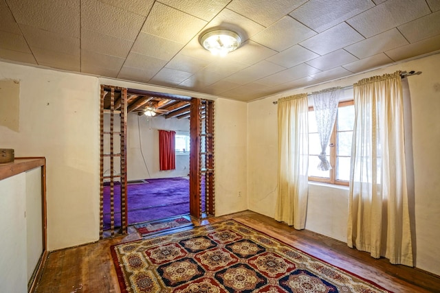 spare room featuring a healthy amount of sunlight, ceiling fan, and wood-type flooring